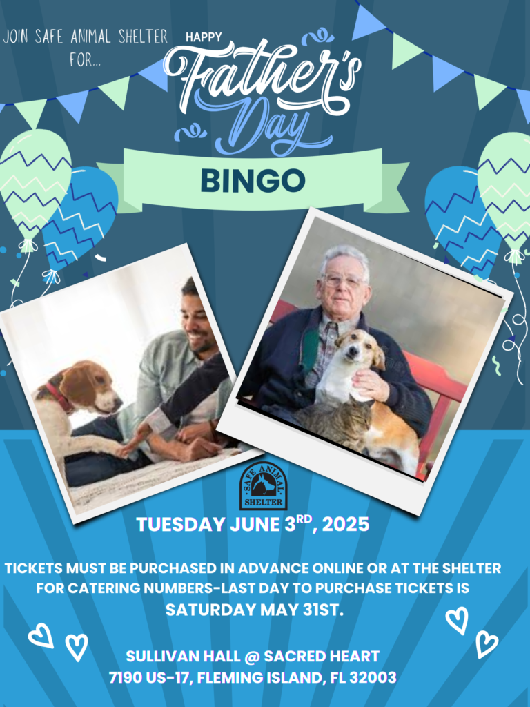 June 2025 Fathers Day Bingo flyer
