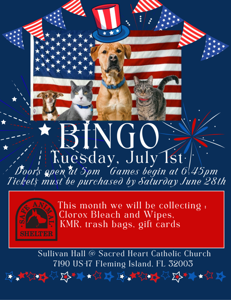 July 2025 Bingo Flyer